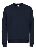 Navy (PMS 5395C)