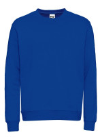 Royalblau (PMS 2145C)